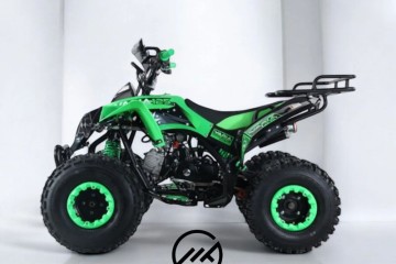 Berreta Varia 125