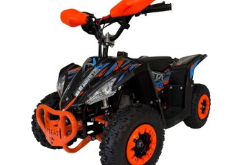 Quad BERRETA Flipper 50cc