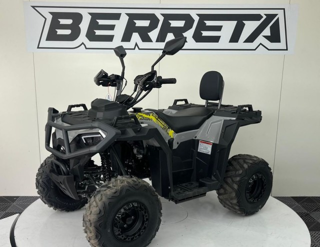 berreta